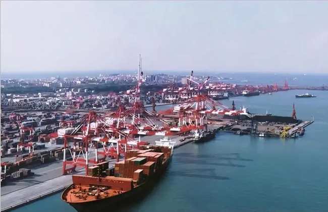 Global port development report (2019)